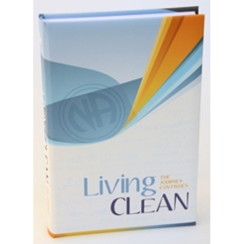 living clean the journey continues book